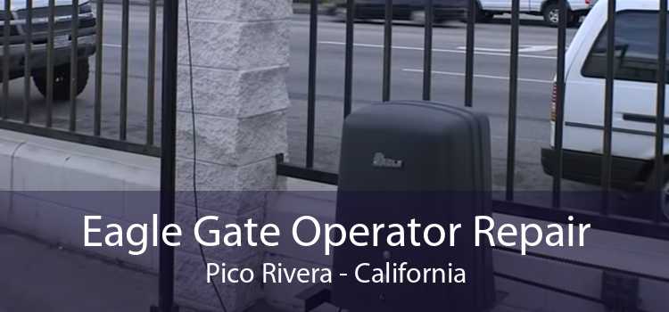 Eagle Gate Operator Repair Pico Rivera - California